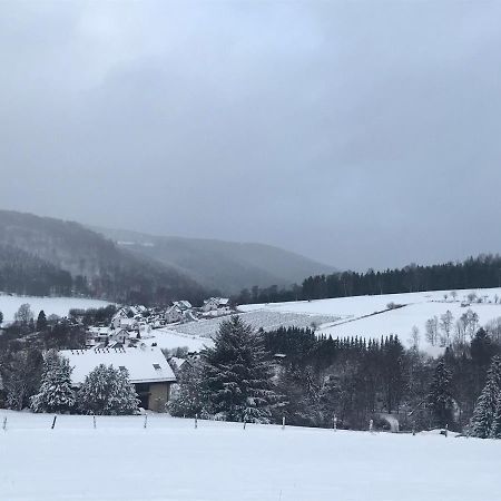 Appartement Familie Willems Winterberg 3 Buitenkant foto